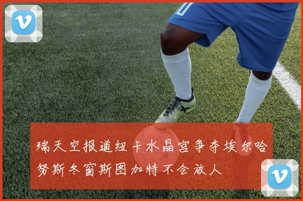 瑞天空报道纽卡水晶宫争夺埃尔哈努斯冬窗斯图加特不会放人